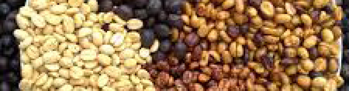 Кои са различните процеси на обработка на суровото кафе и техните особености? Част 1