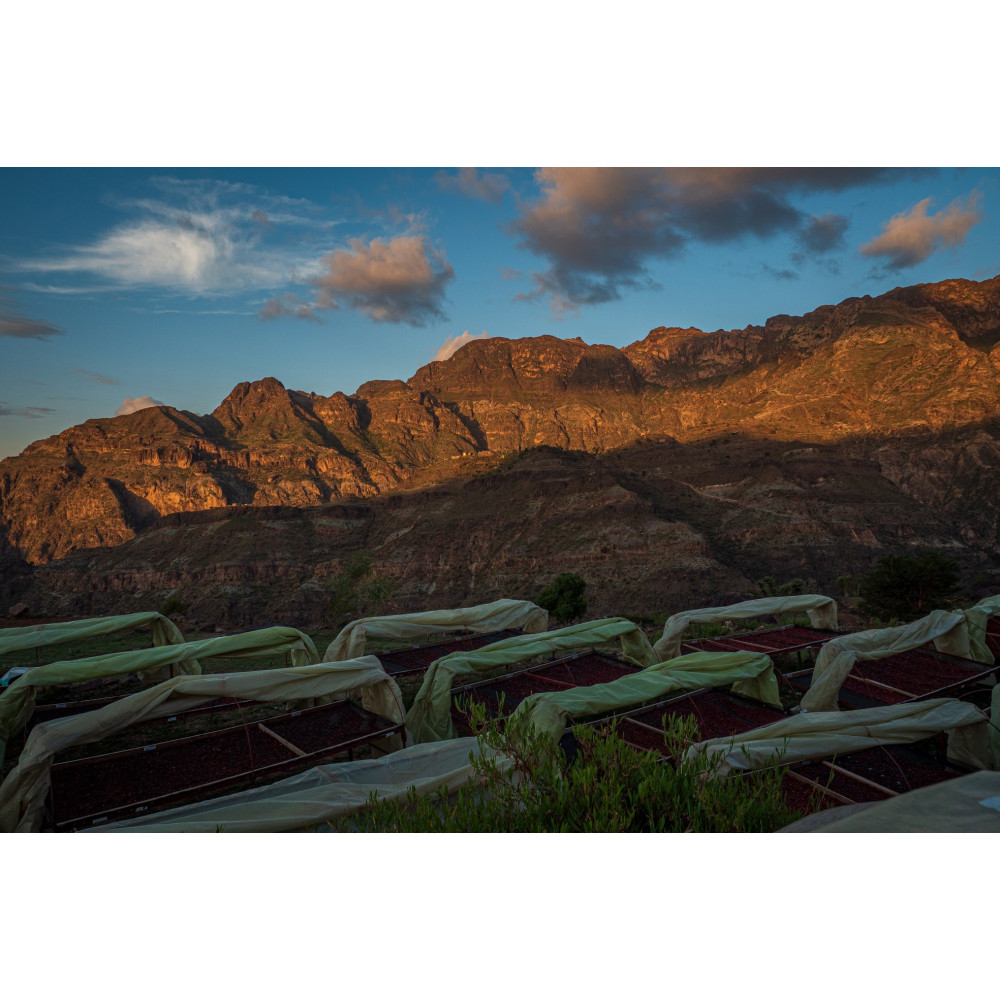 Спешълти кафе Yemen Ans women farmers 100 гр лимитирана серия от Martines Specialty Coffee