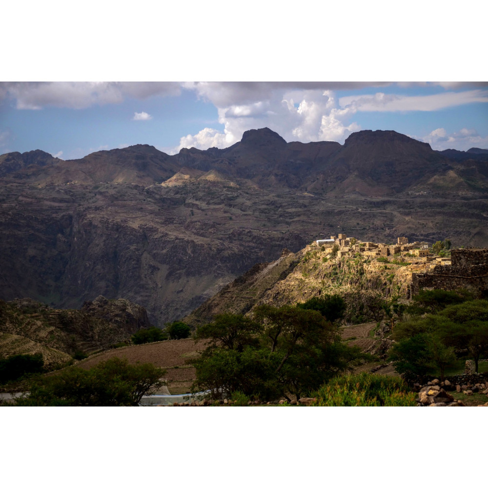 Спешълти кафе Yemen Ans women farmers 100 гр лимитирана серия от Martines Specialty Coffee