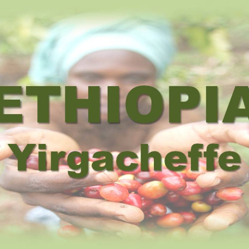 Специално кафе Ethiopia Yirgacheffe Asefa- сурово - 1 кг